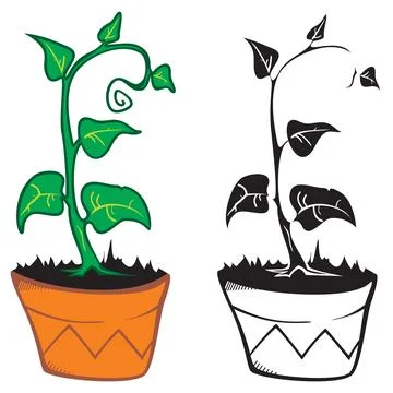 Plant in pot drawing Stock Illustration