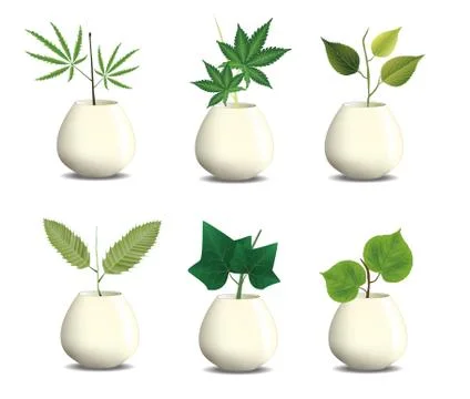 Plant in pot Illustrazione stock