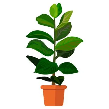 Plant in pot Stock Illustration