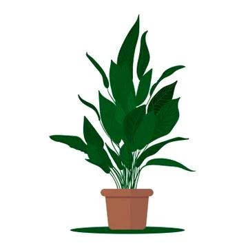 Plant in pot. Stock Illustration