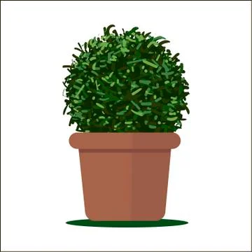 Plant in pot Stock Illustration