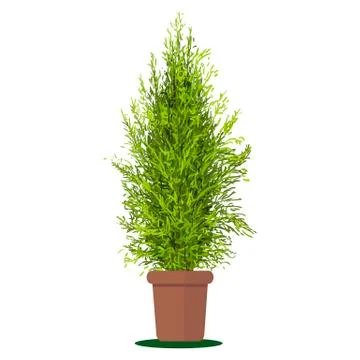 Plant in pot Stock Illustration