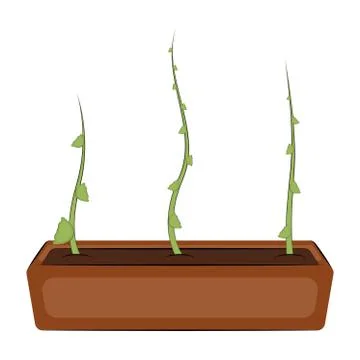 Plant in a pot Stock Illustration