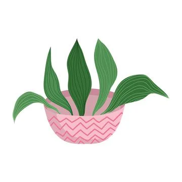 Plant in pot Stock Illustration