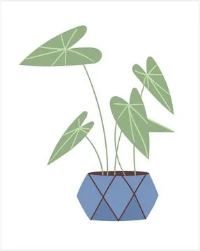 Plant in pot Stock Illustration