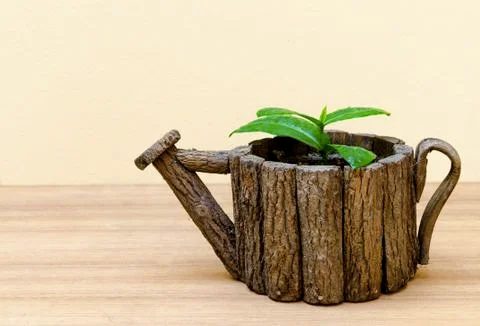 Plant in pot Stock Photos