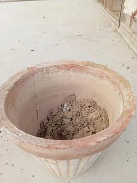 Plant pot upper angle pic Stock Photos