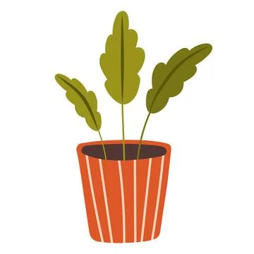 Plant in pot vector illustration. Flat indoor decorative plants in pots Stock Illustration