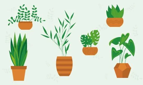 Plant in pot vector illustration set, cartoon flat indoor house plants. Stock Illustration