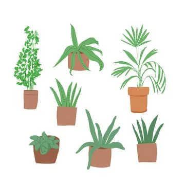 Plant in pot vector illustration set. Cartoon flat different indoor potted Stock Illustration