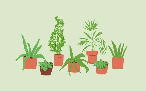 Plant in pot vector illustration set. Cartoon flat different indoor potted Stock Illustration