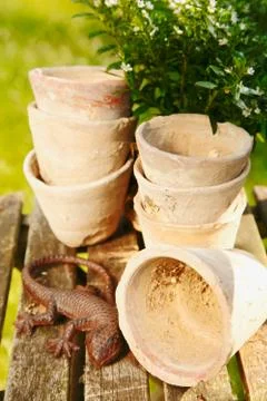 Plant pots Stock Photos