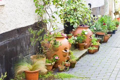 Plant pots Stock Photos