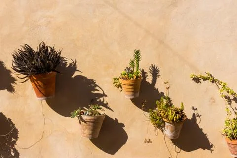Plant pots on wall 2 Stock Photos