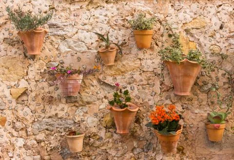 Plant pots on wall 3 Stock Photos