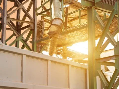 Plant for processing and storing grain, a truck is loaded with grain, close up Foto stock