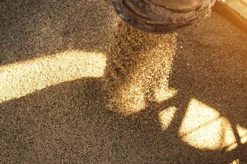 Plant for processing and storing grain, loading grain into a truck body, close Foto stock
