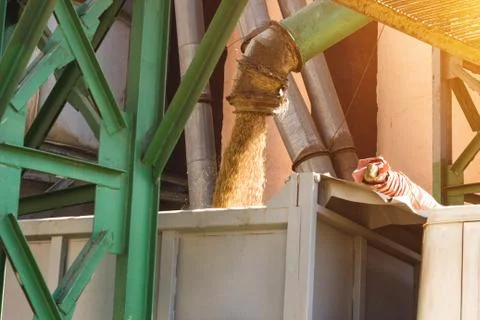 Plant for processing and storing grain, a truck is loaded with grain, close up Foto stock