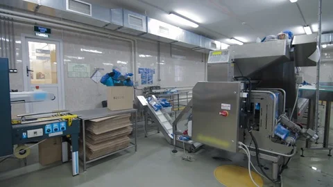 Plant for processing of fish products. Automatic packing fish. Transporting Stock Footage 125856313