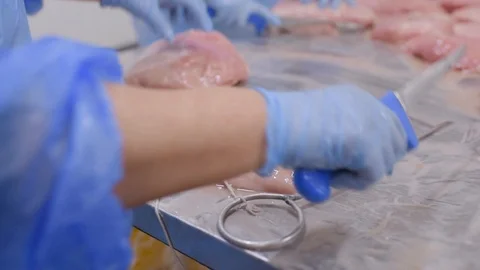 Plant for processing poultry in the food industry. Stock Footage 99876518