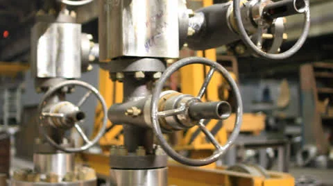 Plant, production Stock Footage 25878463