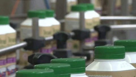 Plant for the production of milk. Stock Footage