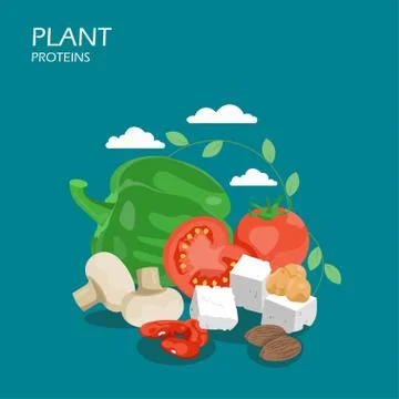 Plant proteins vector flat style design illustration Stock Illustration