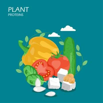 Plant proteins vector flat style design illustration Stock Illustration