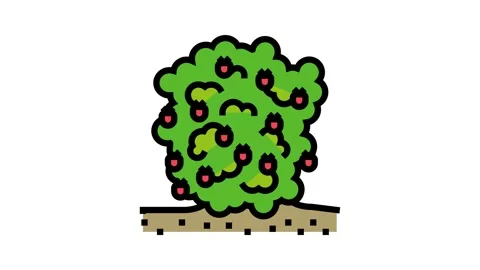 Plant raspberry fruit color icon animation Stock Footage 225051976