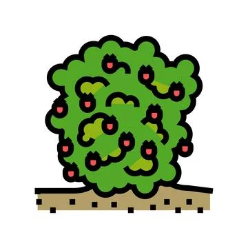Plant raspberry fruit color icon vector illustration Illustrazione stock