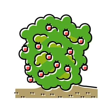 Plant raspberry fruit color icon vector illustration 스톡 일러스트