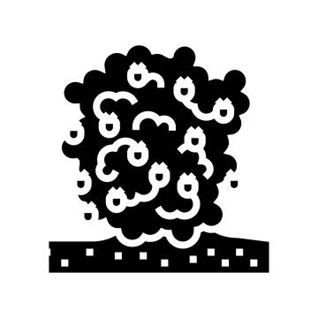 Plant raspberry fruit glyph icon vector illustration Stock Illustration