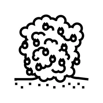Plant raspberry fruit line icon vector illustration Illustrazione stock