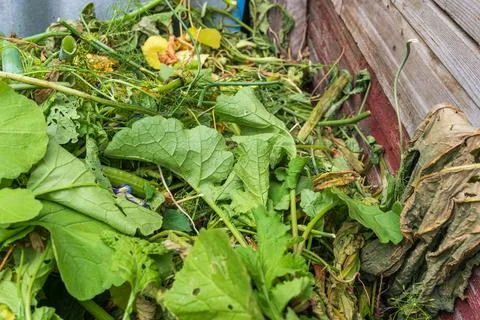 Plant residue decomposes in rustic compost bin for natural soil fertility Stock Photos
