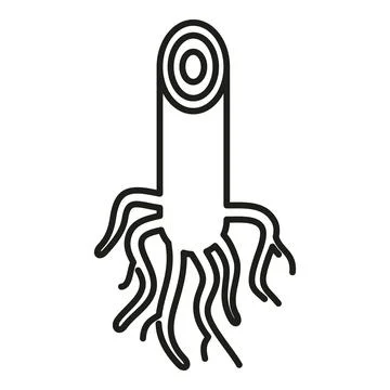 Plant root system showing growth line art イラスト素材