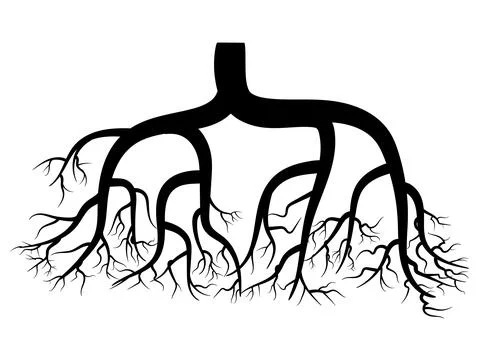 Plant Root System Silhouette Isolated on Transparent Background Illustrazione stock