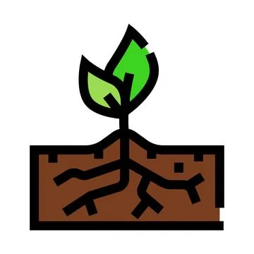 Plant sapling growing in soil with roots system 库存插图