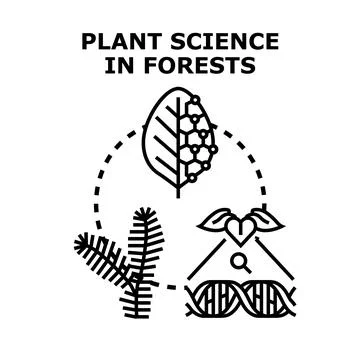 Plant science research studying forest genetics and nature Stock Illustration