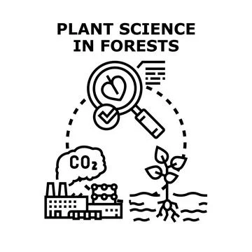 Plant science studying deforestation and environmental impact Stock Illustration