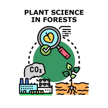 Plant science studying deforestation and environmental impact Stock Illustration