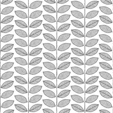 Plant seamless pattern in black and white 스톡 일러스트