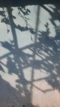 Plant shadow background on the wall 01 Stock Photos