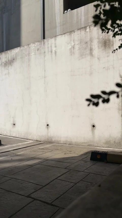 Plant Shadow Moving on Concrete Wall, Urban Background Stock Footage 337557724