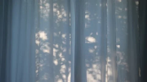 Plant shadows background on the window. Stock Footage 200805344