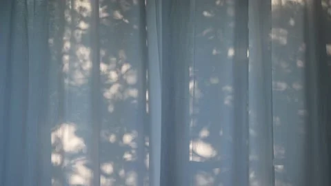 Plant shadows background on the window. Stock Footage 201042961