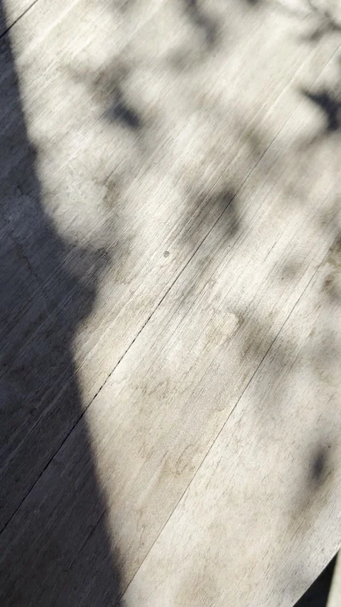 Plant Shadows on Rustic Wooden Table in Natural Sunlight Stock Footage 334838095