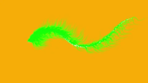 A plant shoot in the ground develops numerous green branches Video stock 328294523