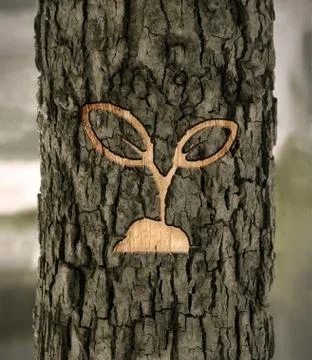 Plant sign on the bark Stock-Illustration