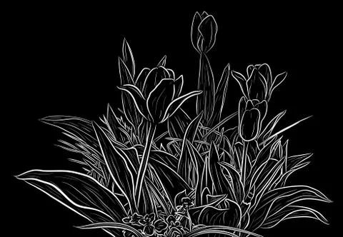 Plant sketch Stock Illustration