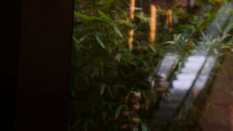 Plant with soft focus escalator in background Stock Footage 80167160